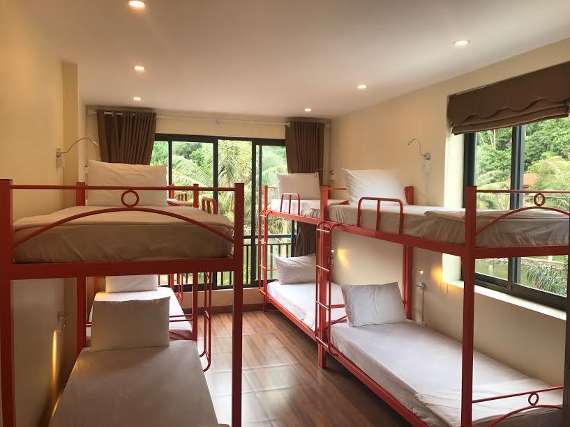 Central Backpackers Hostel - Catba Cat Ba Island Bagian luar foto